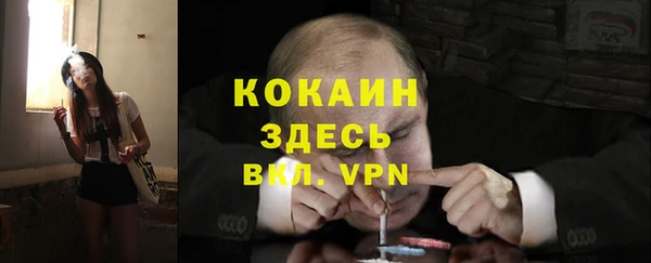 хмурый Алексин