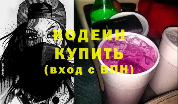 хмурый Алексин