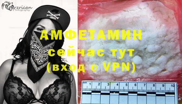 гашик Алзамай
