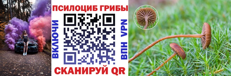 Псилоцибиновые грибы GOLDEN TEACHER  цены наркотик  Ладушкин 